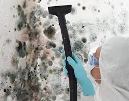 Mold Odor Removal Services in Vernon Hills, IL